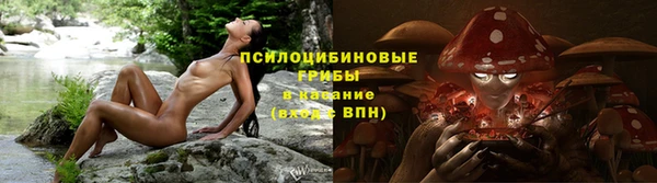 дмт Алексеевка